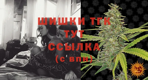 хмурый Лагань