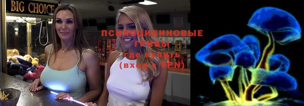 хмурый Лагань