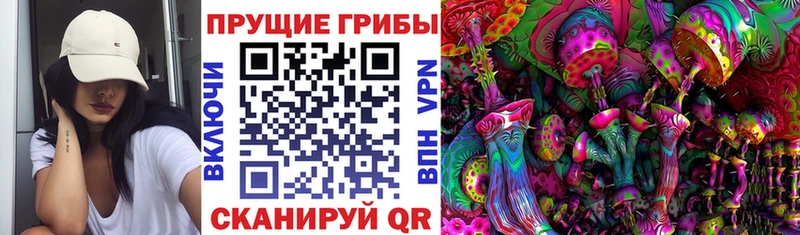 даркнет какой сайт  блэк спрут как войти  Мончегорск  купить   Псилоцибиновые грибы Psilocybine cubensis 