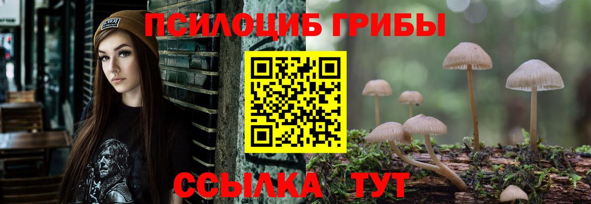 где купить наркоту  Вход с VPN  Галлюциногенные грибы Magic Shrooms  Мончегорск  Псилоцибиновые грибы ЛСД 